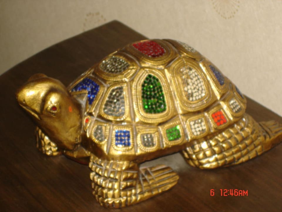Schildkröte Siam Elegance Hotels & Spa