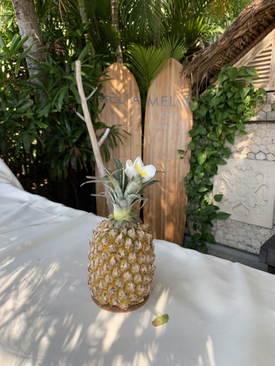 Sonstiges Paradisus by Melia Bali