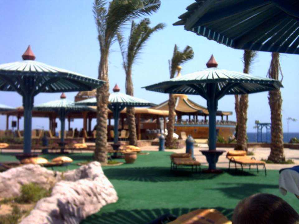 Poollandschaft 1 Dreams Beach Resort Marsa Alam