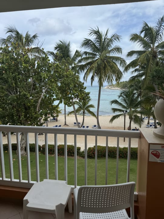 Ausblick Hotel Viva Dominicus Palace by Wyndham-All Inclusive Resort