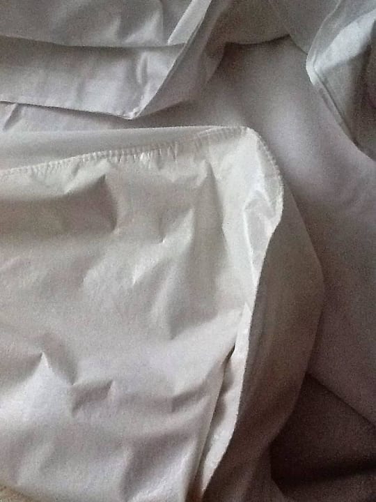 Bettnässermolton  Hotel Europalace