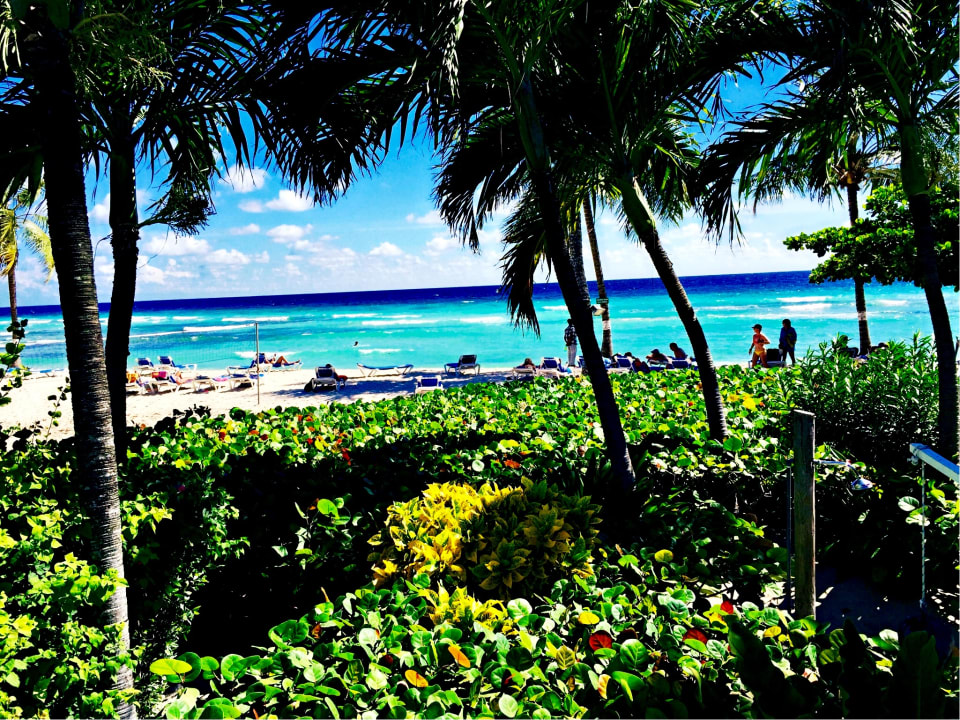 Strand Coconut Court Beach Hotel