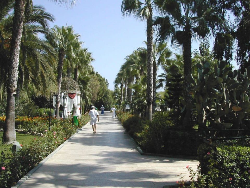 Gartenanlage Botanik Hotel & Resort