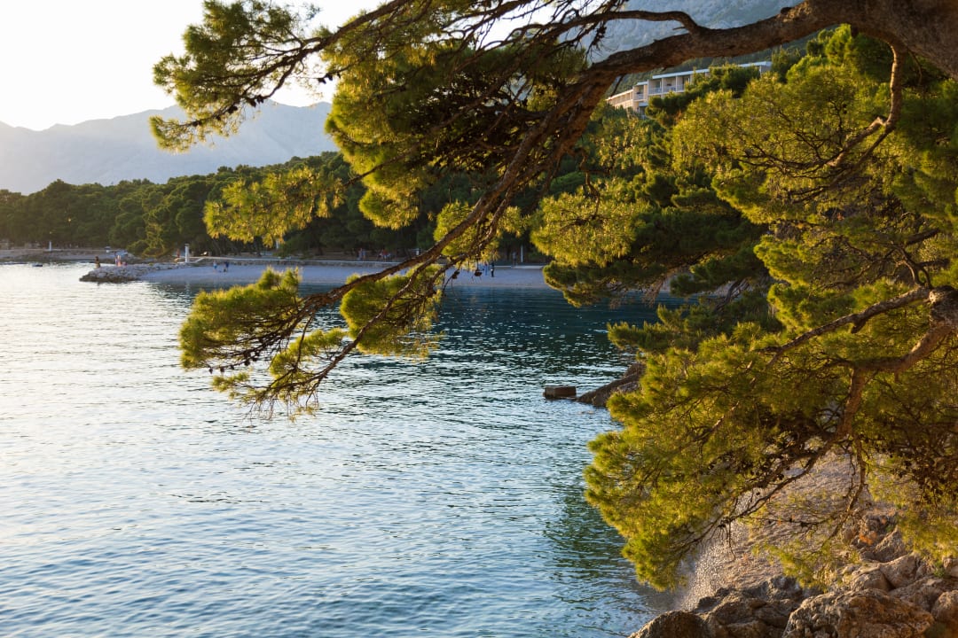 Strand Bluesun Hotel Soline