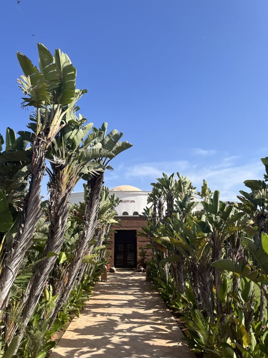 Gartenanlage ROBINSON AGADIR