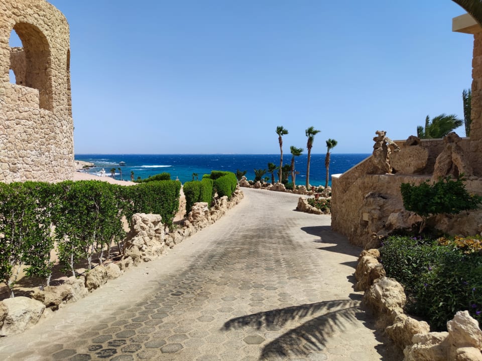 Gartenanlage Pickalbatros Citadel Resort