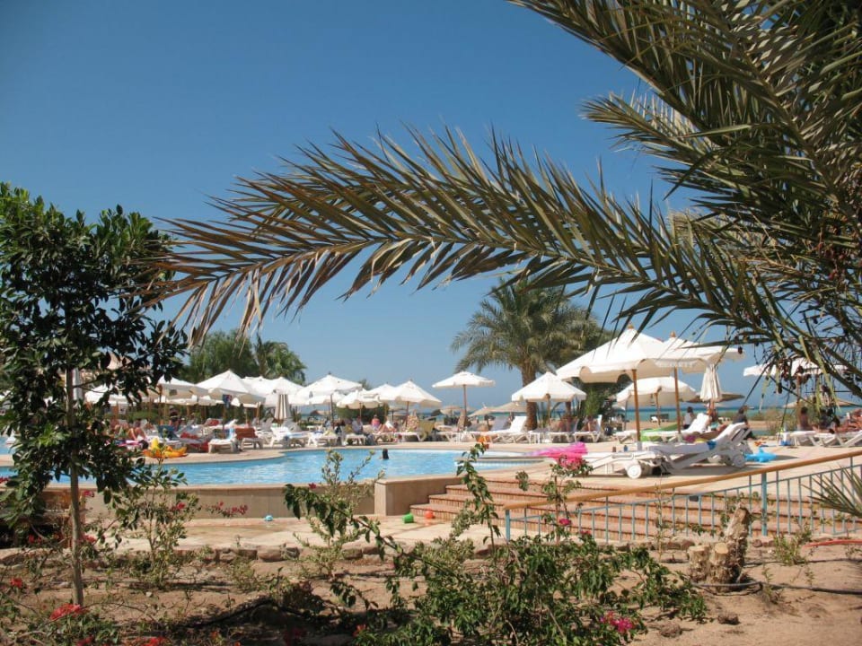 Mövenpick Anlage Mövenpick Resort & Spa El Gouna