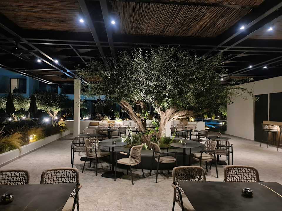 Gastro Mosay All Suite Hotel