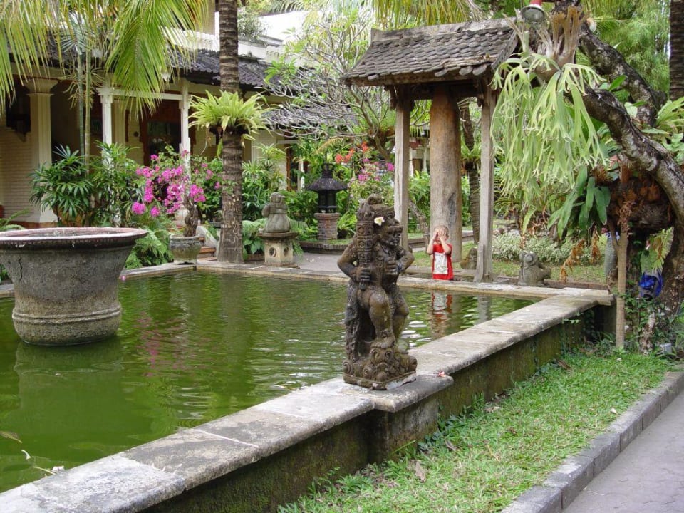 Goldfischteich Villa Shanti Beach