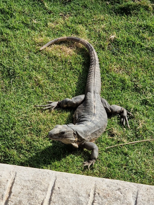 Gartenanlage Bahia Principe Grand Tulum