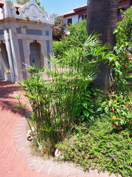 Außenansicht Ali Bey Club