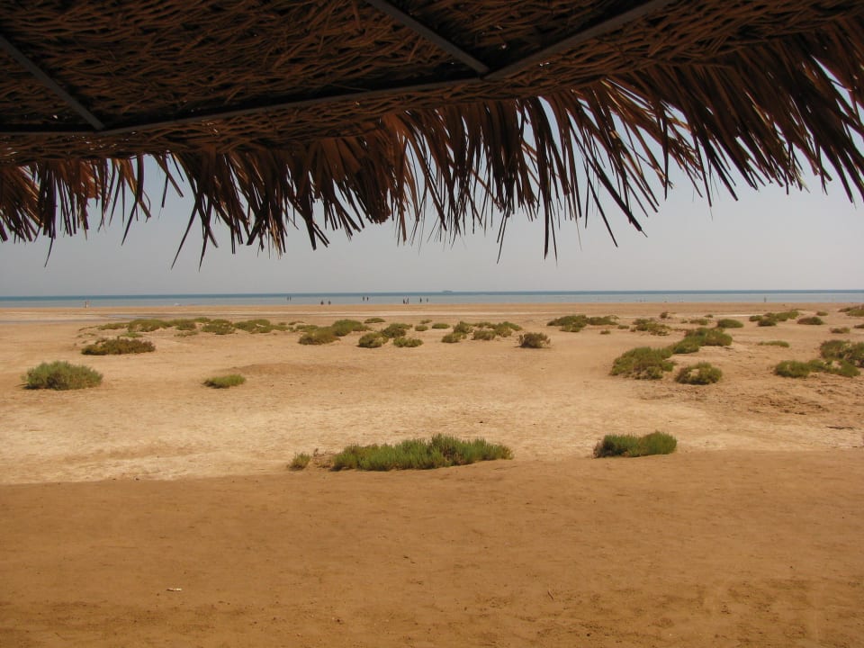 Wo ist das Rote Meer? Three Corners Rihana Resort Deluxe