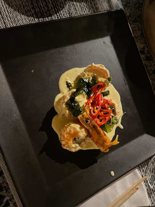 Gastro JAZ Elite Asteria