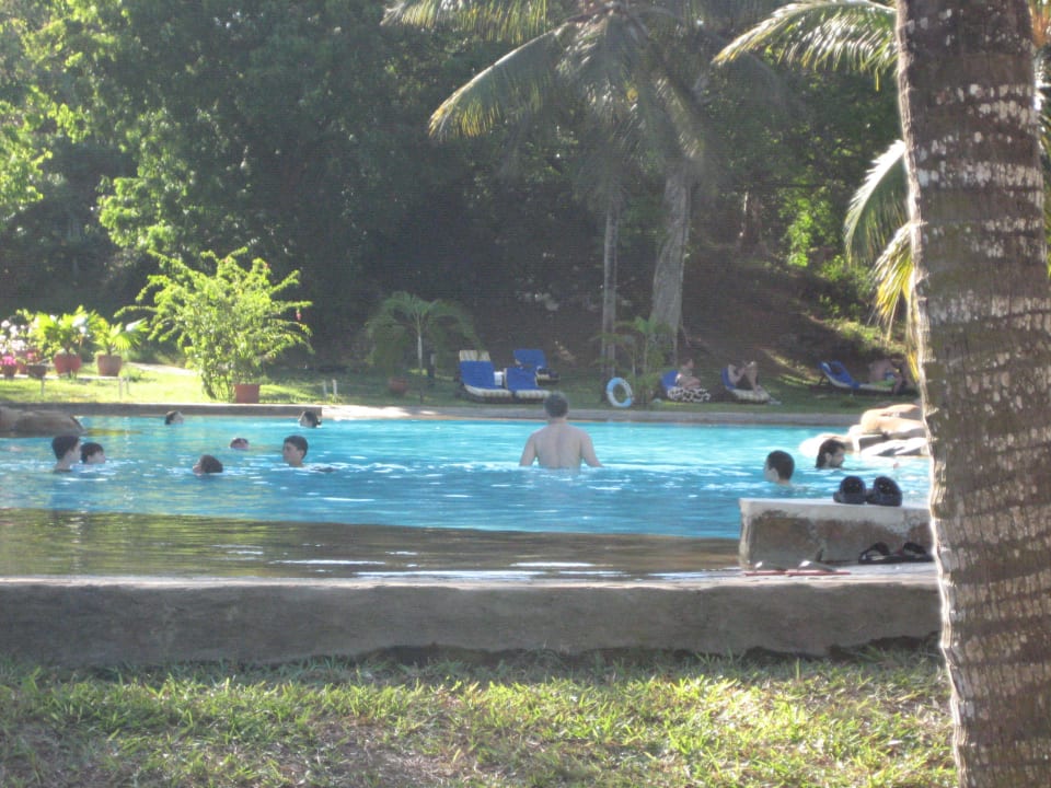 Pool Hotel Papillon Lagoon Reef