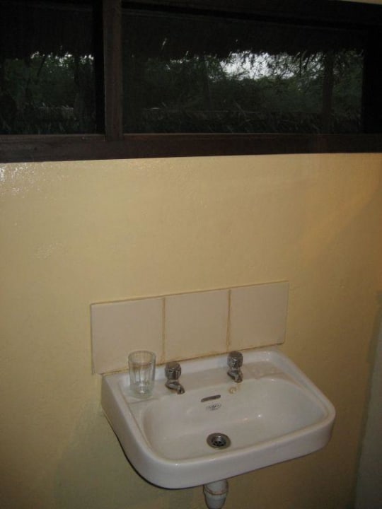 Waschbecken Crocodile Camp