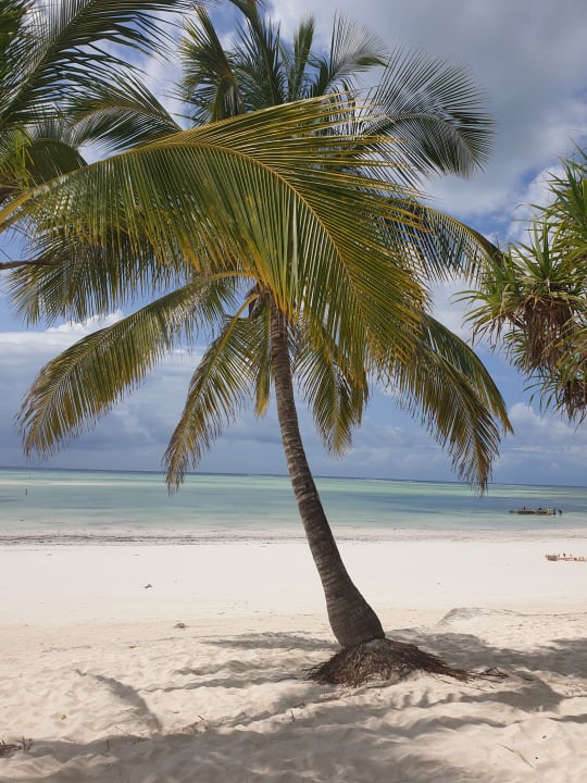Strand Neptune Pwani Beach Resort & Spa