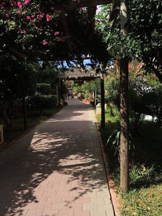 Weg zum Strand Hotel Nesrine
