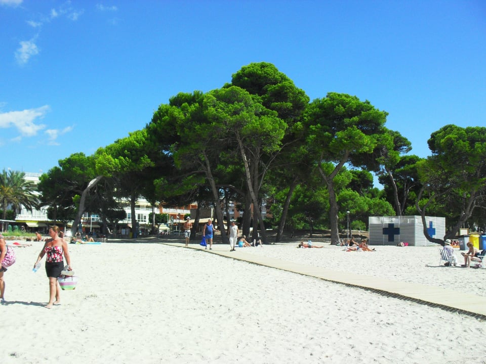 Wunderschöner Strand H10 Casa del Mar