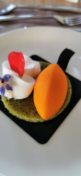 Gastro Cactus Mare - Adults only