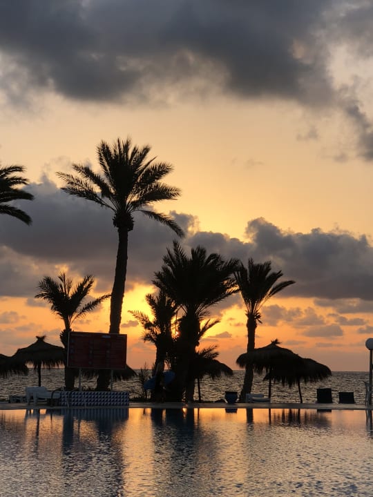 Pool Hotel El Mouradi Djerba Menzel