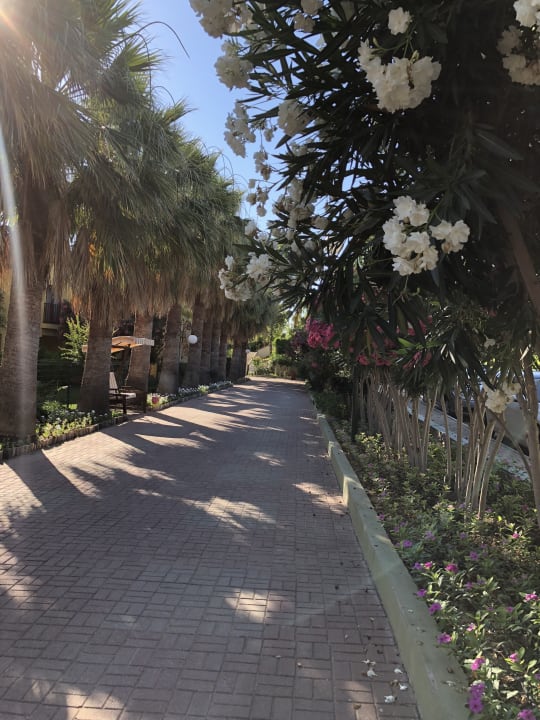 Gartenanlage VONRESORT Golden Beach