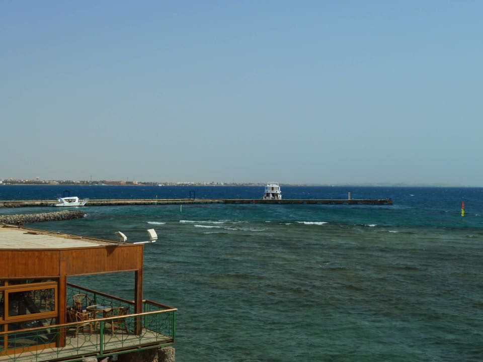 Einfach nur Meer Desert Rose