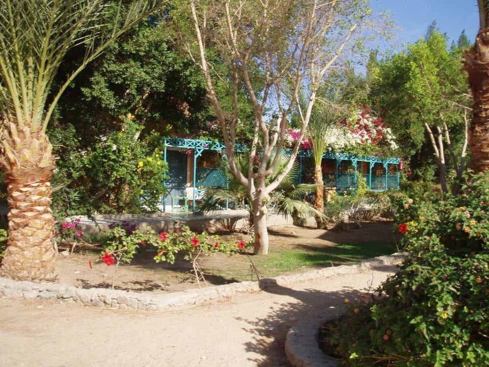 im Garten Giftun Azur Resort
