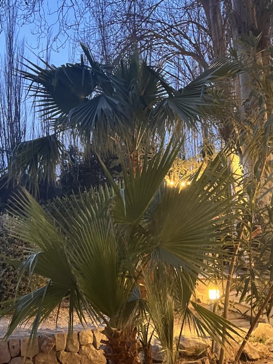 Außenansicht R2 Lago Playa Park