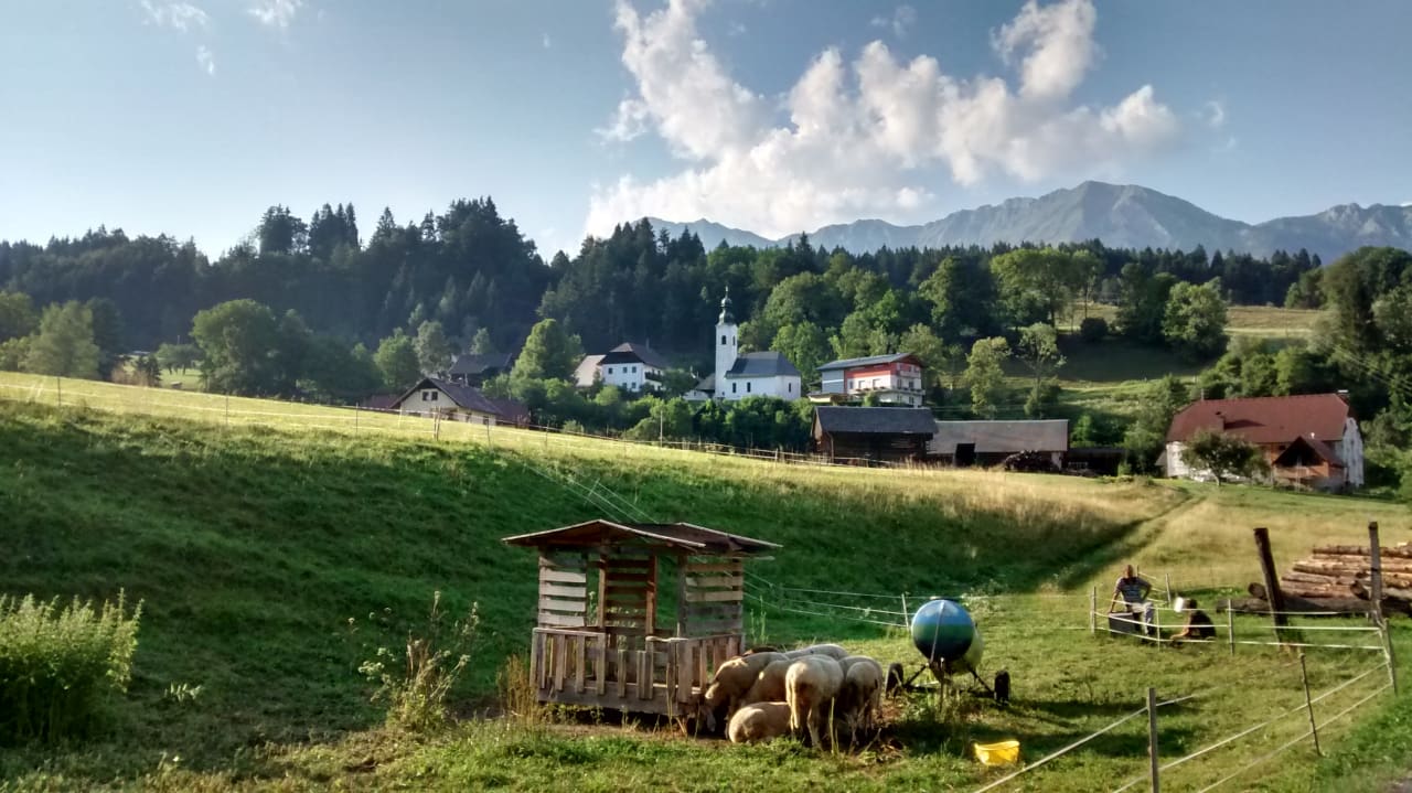 Ausblick Ferienwohnung Lenz