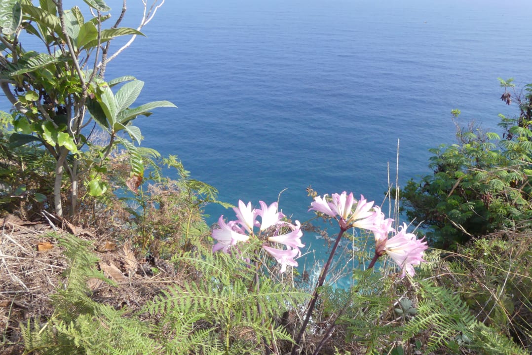 Sonstiges Hotel Quinta do Furao