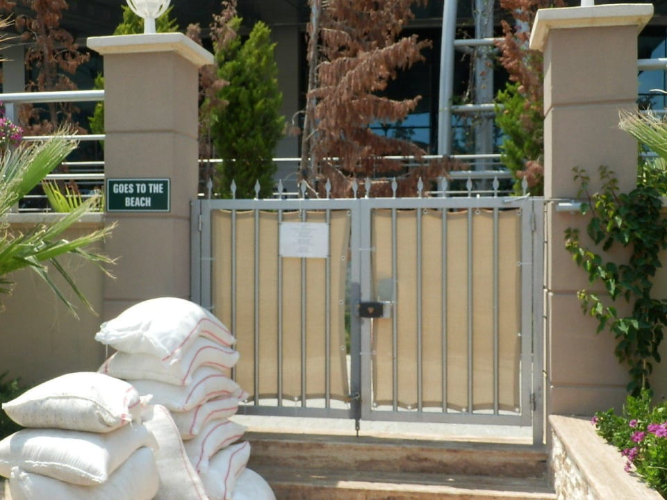 Weg zum Strand Dizalya Palm Garden