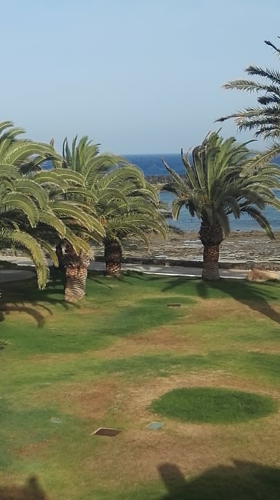 Ausblick HD Beach Resort