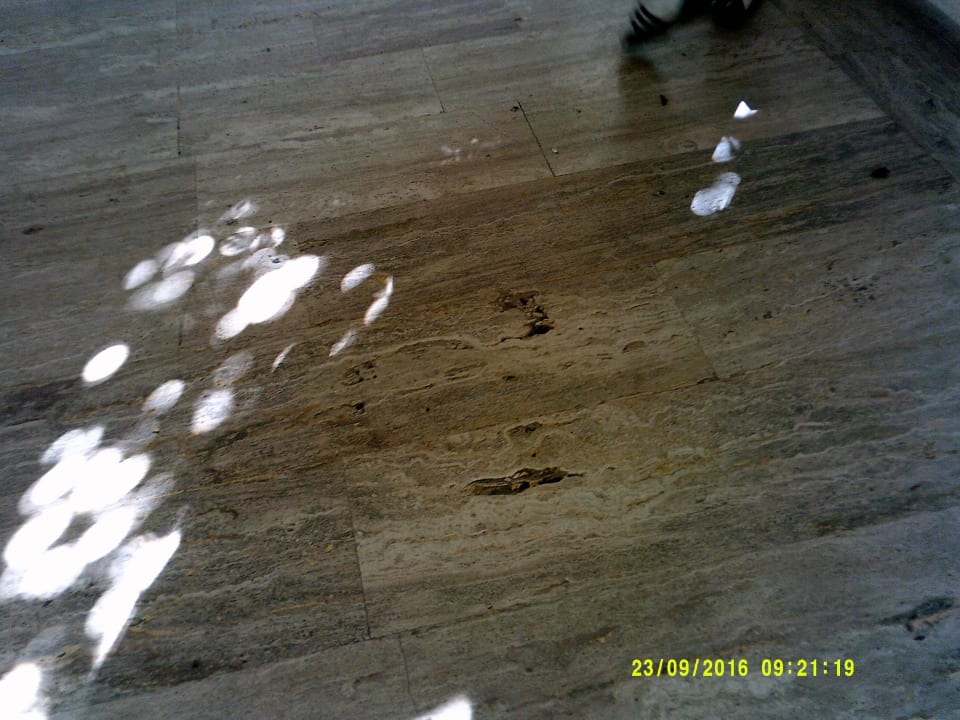 Taubendreck auf dem Fussboden Teos Village