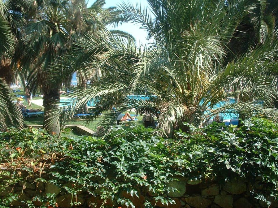 Sirens beach Calimera Sirens Beach