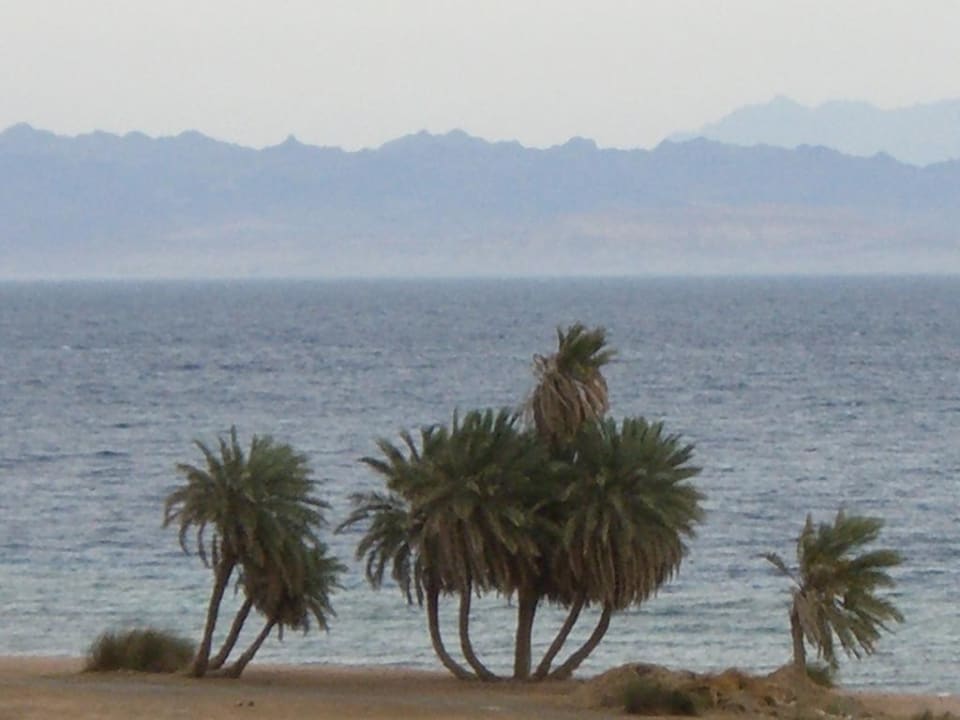 Palmen Happy Life Village