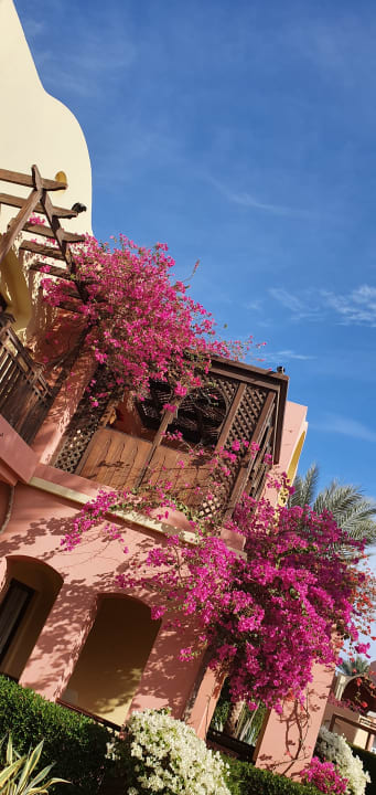 Gartenanlage Jaz Makadi Saraya Resort