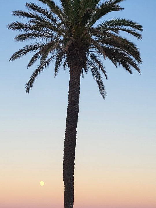 Ausblick CM Playa del Moro