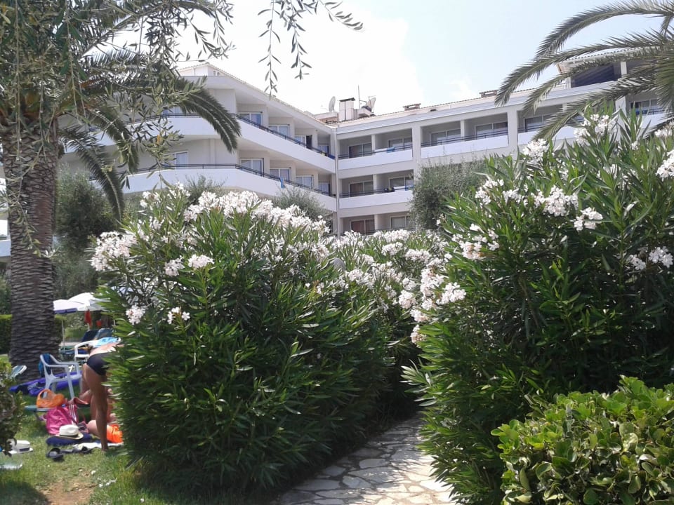 Hotel Elea Beach Elea Beach Hotel