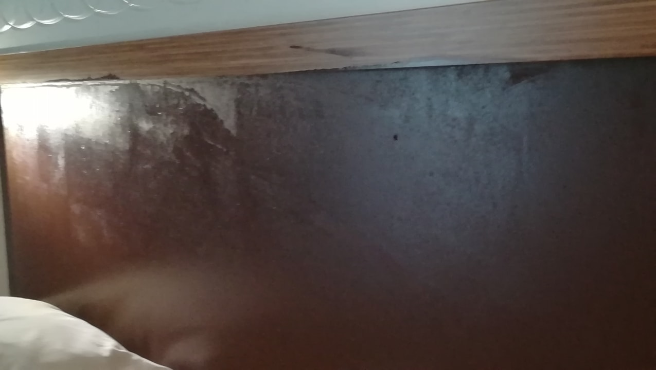 Zimmer Hane Family Resort