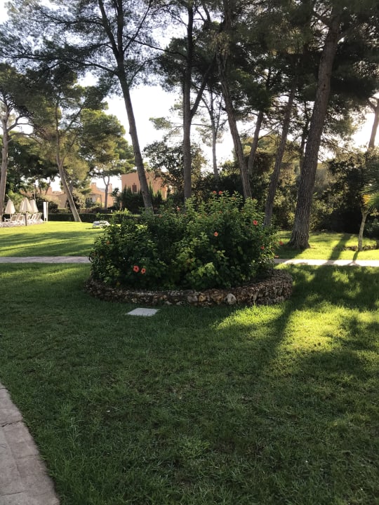 Gartenanlage Protur Floriana Resort Aparthotel