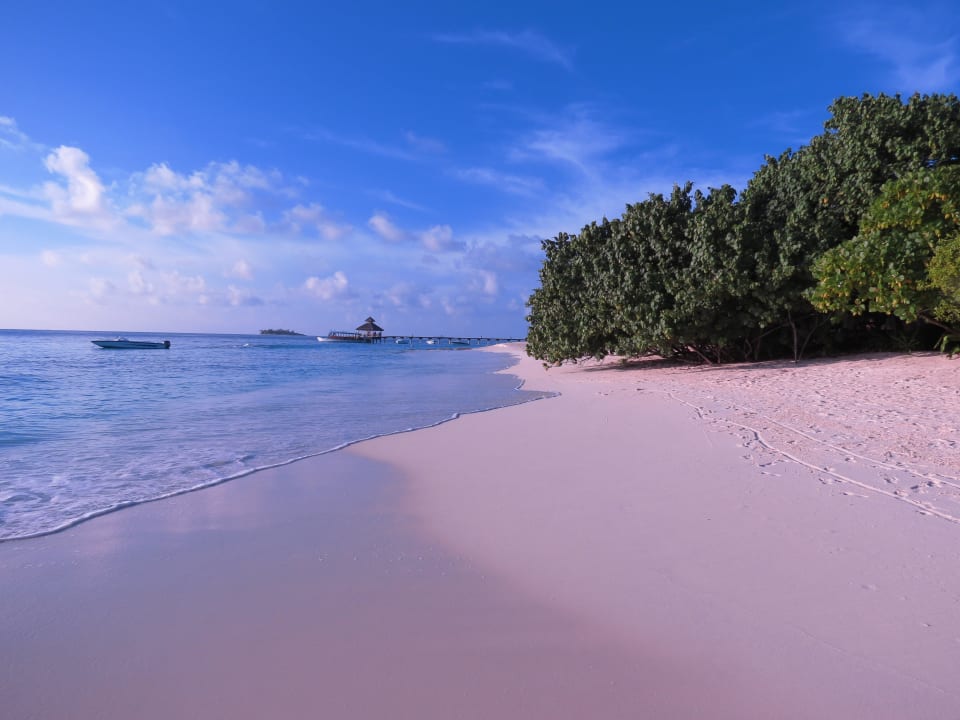 Feiner weisser Sandstrand NH Collection Maldives Reethi Resort