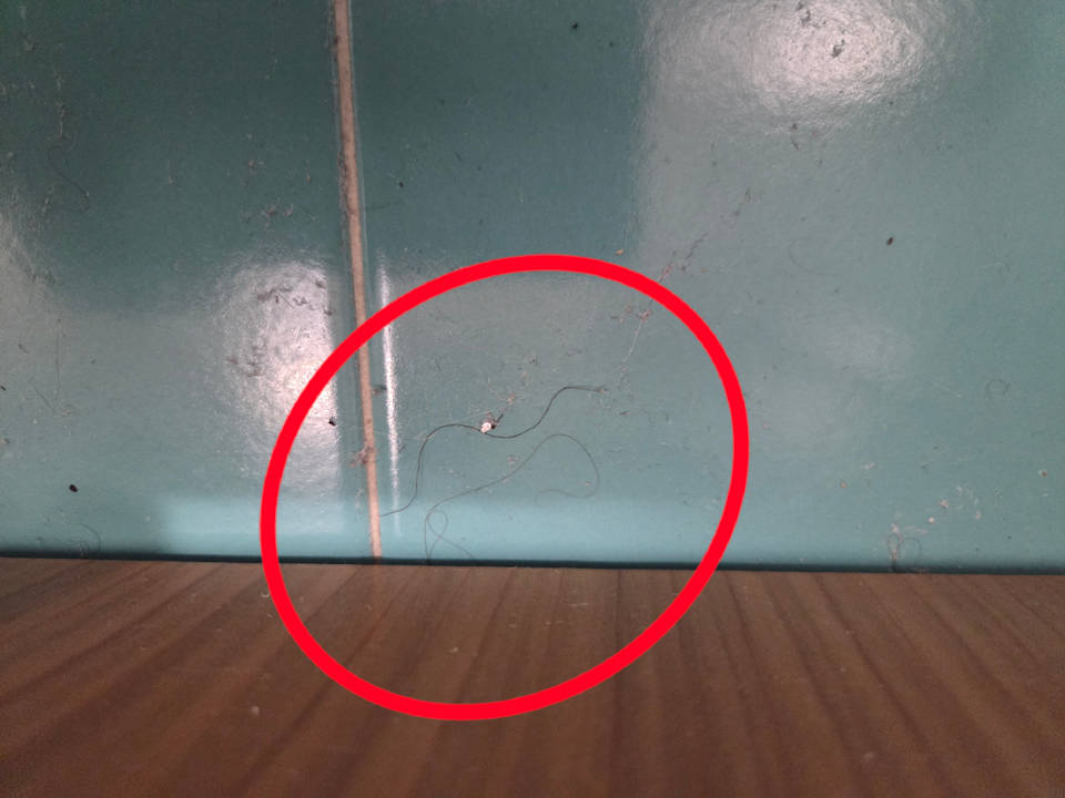 Zimmer Hotel Il Guscio