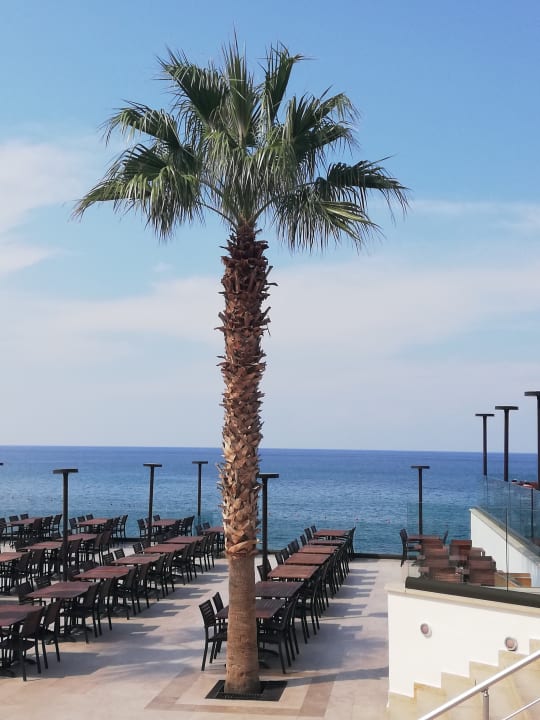 Gastro Acapulco Beach Club & Resort