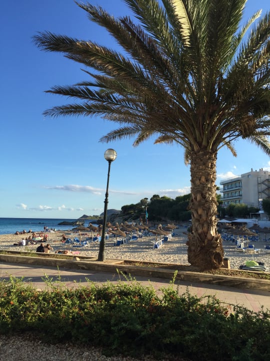 Ausblick Son Moll Sentits Hotel & Spa