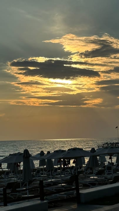 Strand Arum Barut Collection