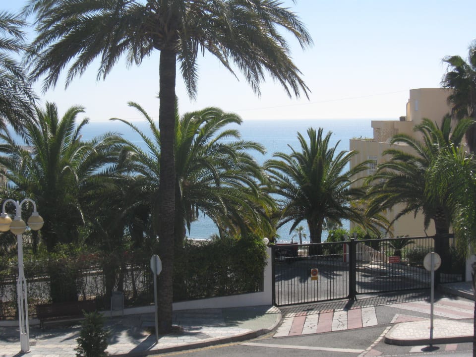 Ausblick zum Meer Hotel Best Siroco