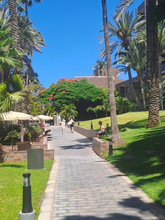 Gartenanlage Hotel Riu Palace Oasis