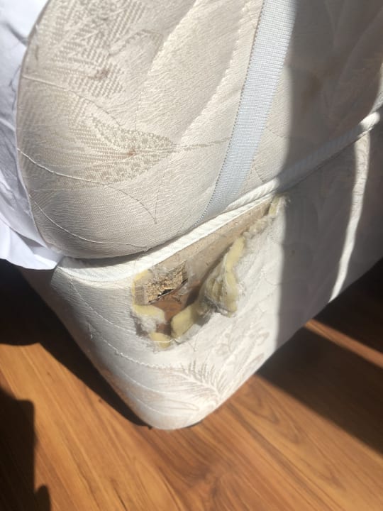 Zimmer Throne Beach Resort & Spa