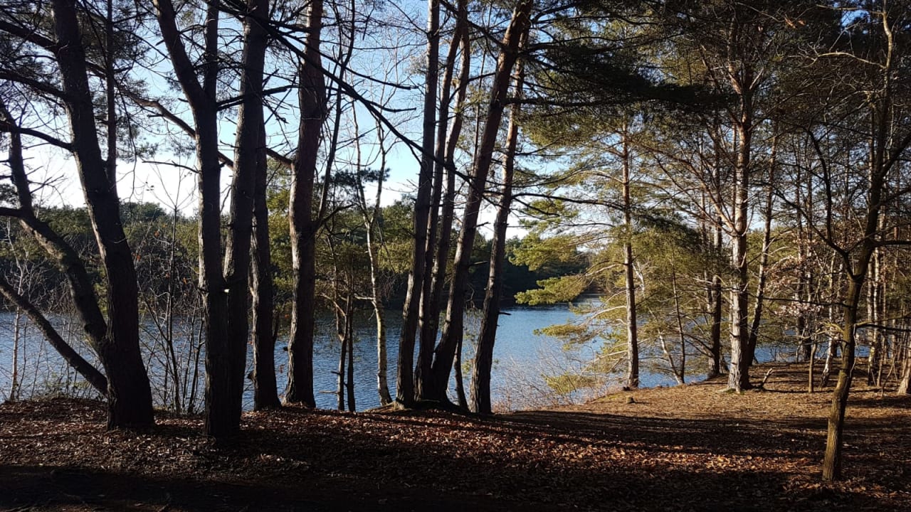 Außenansicht Center Parcs De Vossemeren