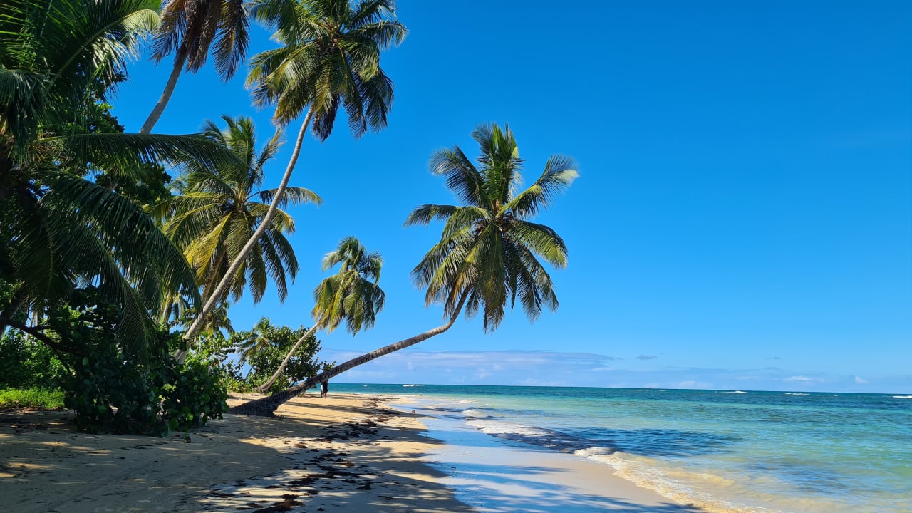 Strand Bahia Principe Grand El Portillo